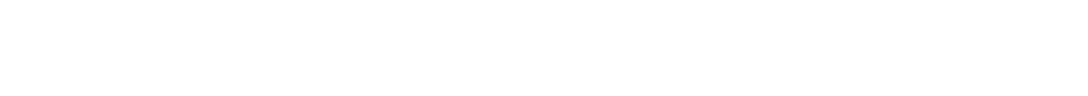 SVN Investimentos